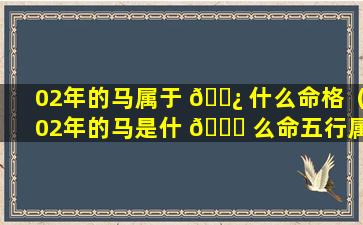 02年的马属于 🌿 什么命格（02年的马是什 💐 么命五行属什么）